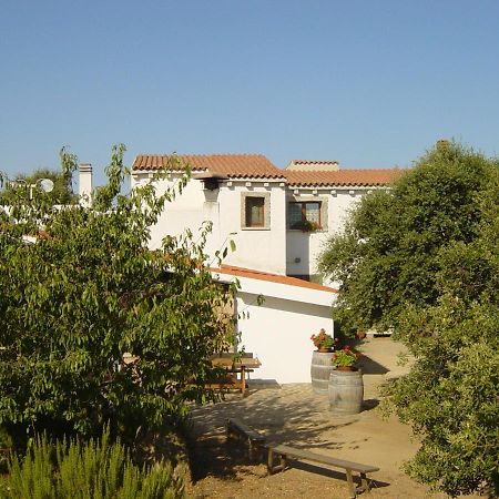 Agriturismo Vermentino Monti Exterior foto
